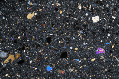 Basalte à olivine (V 208) LPA x2,6